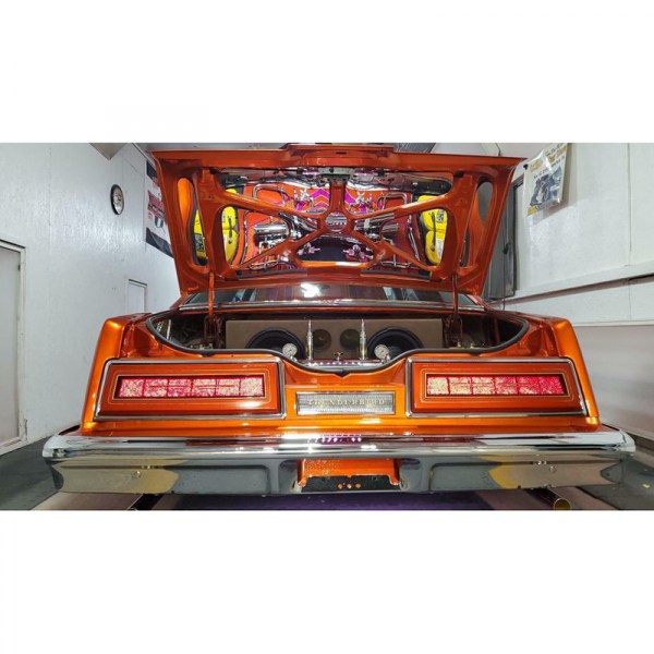 1977-79 THUNDERBIRD Trunk